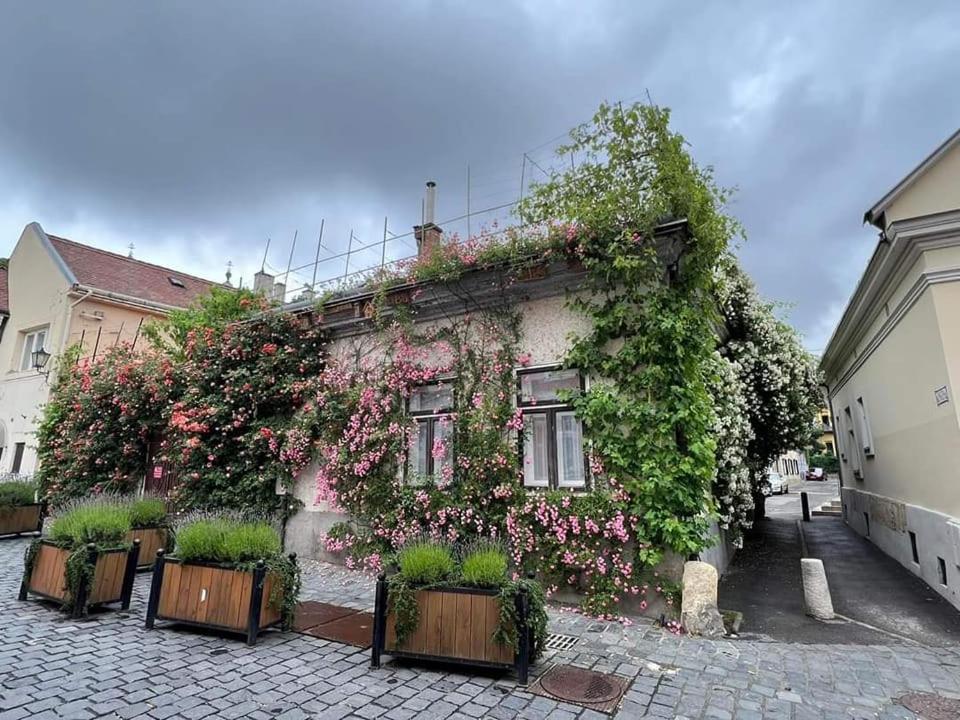 Downtown Romantic Секешфегервар Екстер'єр фото